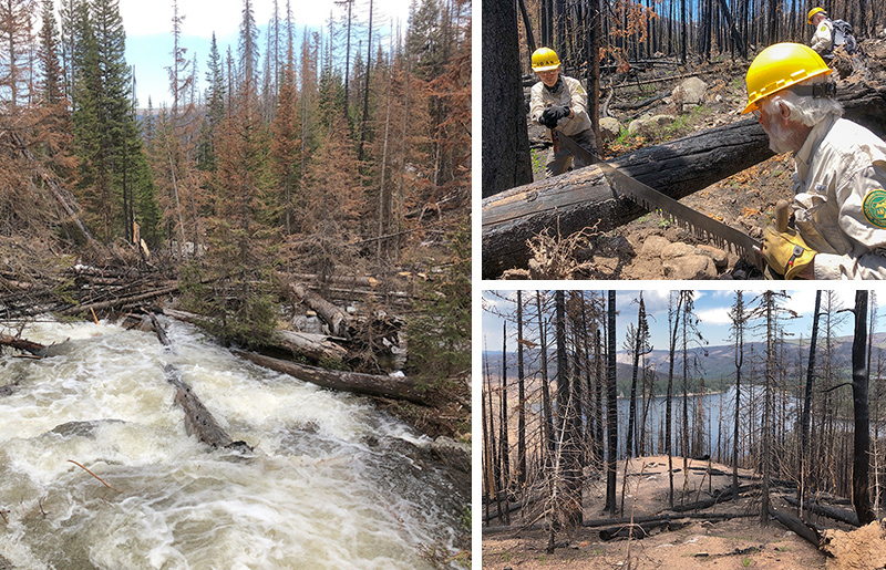 NoCo fires collage shows floodwaters, forest rangers cutting burnt logs and trees burned above a lake