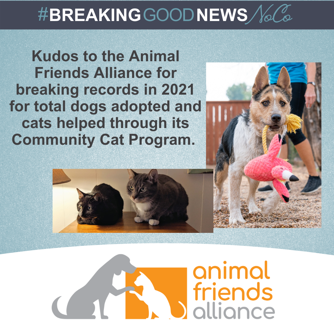 ANIMAL FRIENDS ALLIANCE BREAKS RECORDS FOR DOGS AND CATS HELPED - Community  Foundation of Northern Colorado