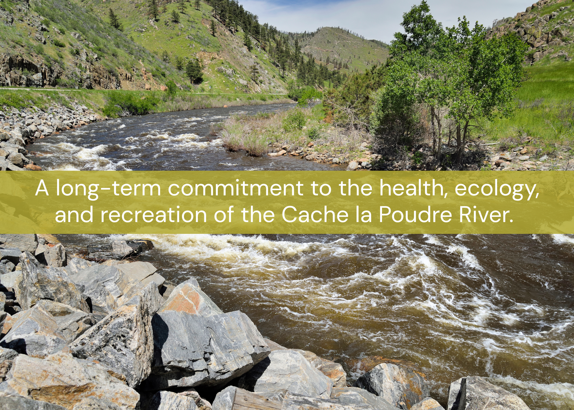 A long-term commitment to the health, ecology, and recreation of the Cache la Poudre River.